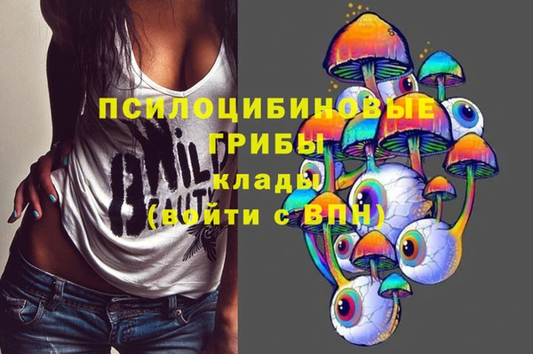 сатива Богородицк