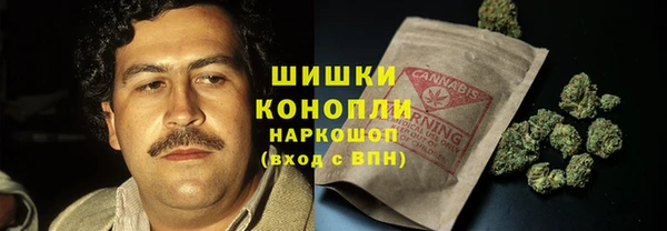 экстази Богданович