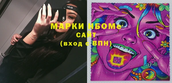 сатива Богородицк