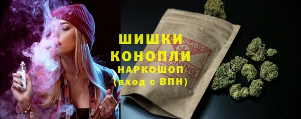 сатива Богородицк