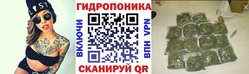 Конопля конопля  мориарти наркотические препараты  Ленинградская  где можно купить наркотик 